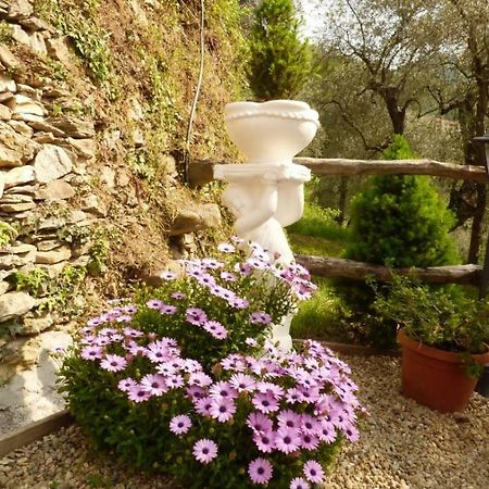 Casa Vacanze Sole Borghetto d'Arroscia Exterior photo